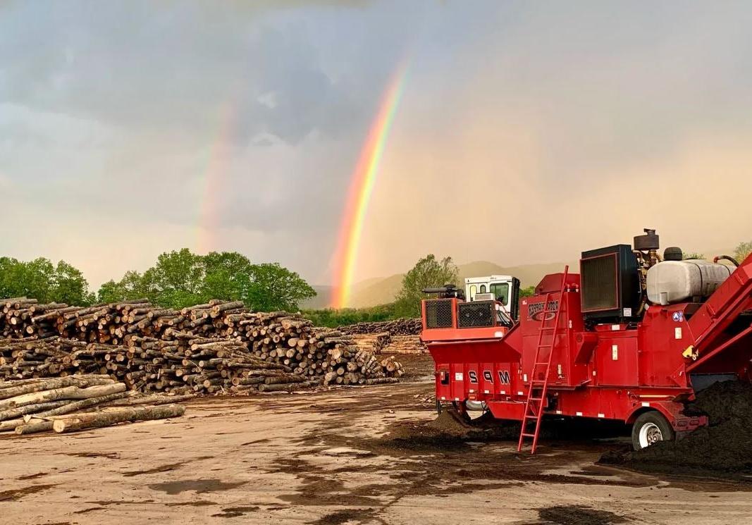 High Mountain Timber rainbow logs forestry